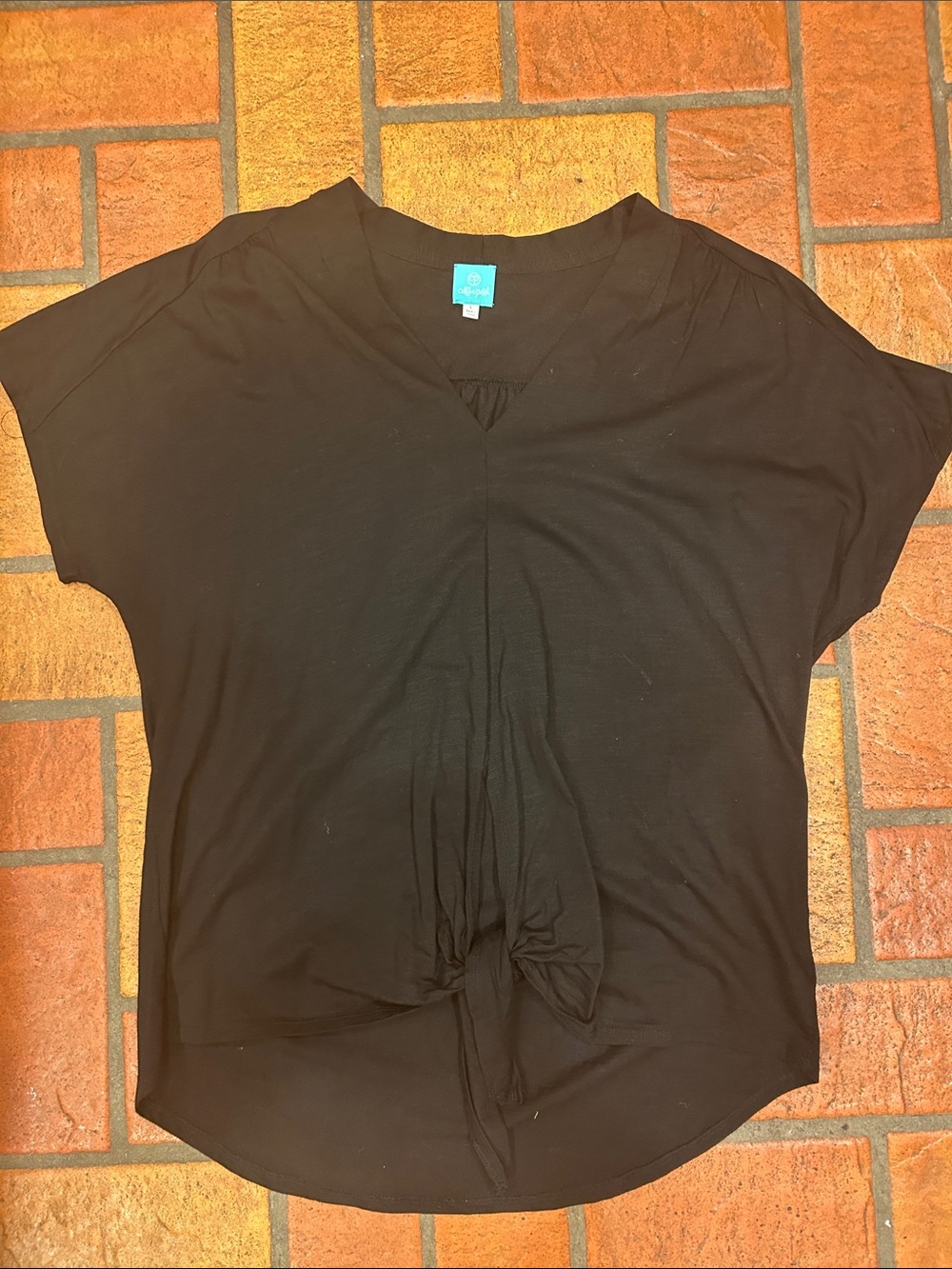 Black V-Neck Short Sleeve Tie-Front Top